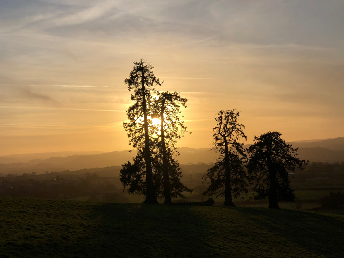 UK driest Spring in 50 years!